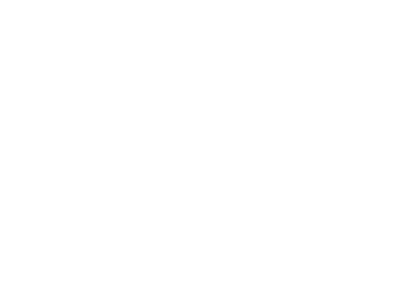 Logo von AERA